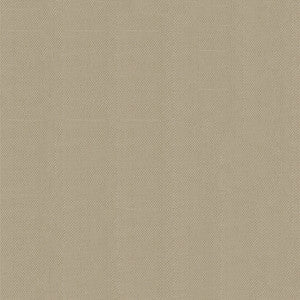 Top Notch1s 642 Tan by Top Notch Fabric
