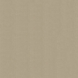 Top Notch1s 642 Tan by Top Notch Fabric