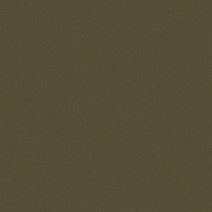 Top Notch 9 #2608 Taupe by Top Notch Fabric