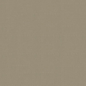 Top Notch 9 #2642 Sand by Top Notch Fabric