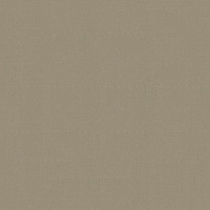 Top Notch 9 #2642 Sand by Top Notch Fabric