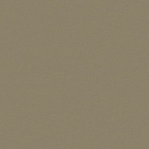 Top Notch FR 1042 Tan by Top Notch Fabric