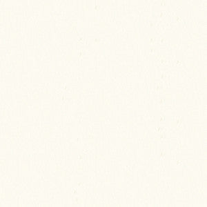 Top Notch FR 1087 White by Top Notch Fabric
