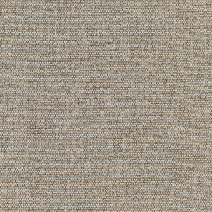 Tough 34J7391 by JF Fabric Winning Weaves VII- Wovens - Faux Suede Book 100% Polyester China 30000 Horizontal: and Vertical: 58 - Fabric Carolina -