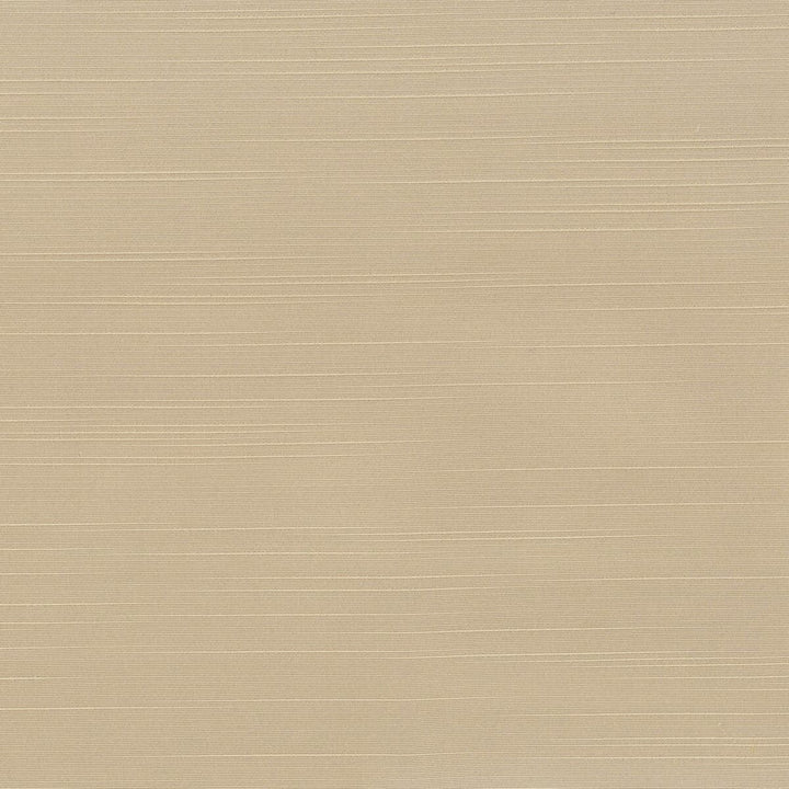 Toulouse 10 Sandstone by Stout Fabric BEAUTIFUL ACCENTS 100%POL INDIA WYZENBEEK 20 000 DOUBLE RUB WEAR TEST (HEAVY DUTY) Horizontal: 0 and Vertical: 0 54 in - Fabric Carolina -