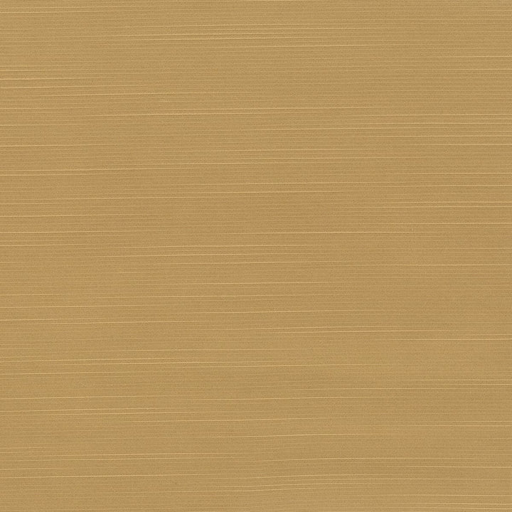 Toulouse 2 Toffee by Stout Fabric BEAUTIFUL ACCENTS 100%POL INDIA WYZENBEEK 20 000 DOUBLE RUB WEAR TEST (HEAVY DUTY) Horizontal: 0 and Vertical: 0 54 in - Fabric Carolina -