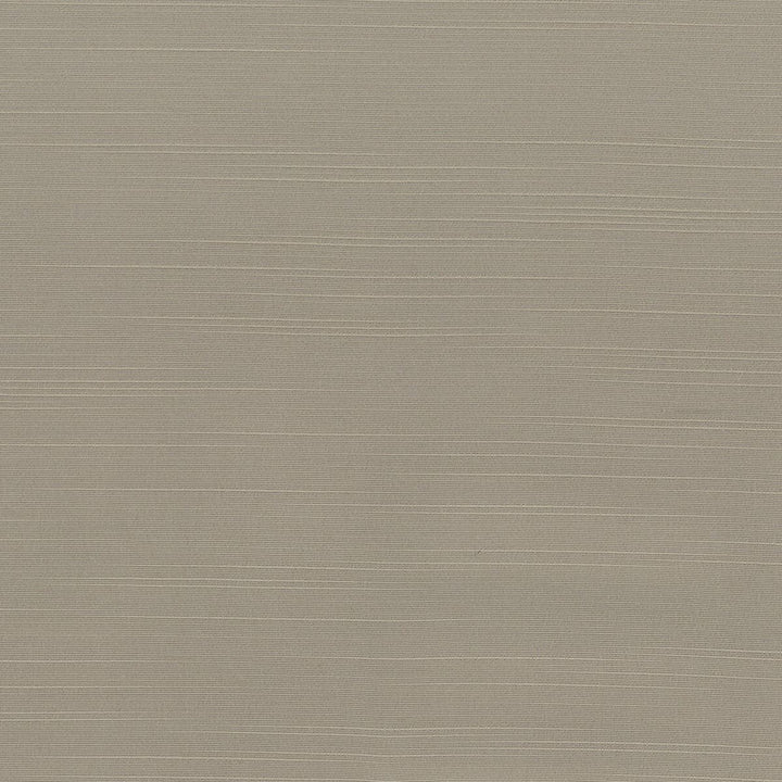Toulouse 4 Nickel by Stout Fabric BEAUTIFUL ACCENTS 100%POL INDIA WYZENBEEK 20 000 DOUBLE RUB WEAR TEST (HEAVY DUTY) Horizontal: 0 and Vertical: 0 54 in - Fabric Carolina -