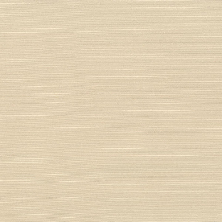Toulouse 9 Oatmeal by Stout Fabric BEAUTIFUL ACCENTS 100%POL INDIA WYZENBEEK 20 000 DOUBLE RUB WEAR TEST (HEAVY DUTY) Horizontal: 0 and Vertical: 0 54 in - Fabric Carolina -
