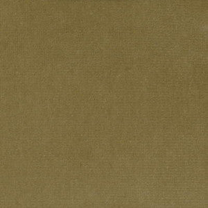 Tp-12695 E20213 TP-12695.E20213.0 by Kravet Design Fabric