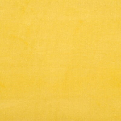 Kravet Design Upholstery TP-12695.E21303.0 Upholstery COTTON - 100% Netherlands </p><p>Repeat: H: , V: 27.5 21 - My Fabric Connection -