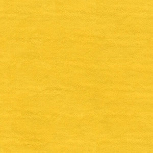 Tp-12695 E21434 TP-12695.E21434.0 by Kravet Design Fabric