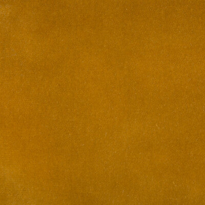 Kravet Design Upholstery TP-12695.E21901.0 Upholstery COTTON - 100% Netherlands </p><p>Repeat: H: , V: 27.5 21 - My Fabric Connection -
