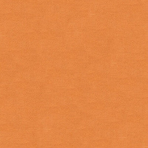 Tp-12695 E22008 TP-12695.E22008.0 by Kravet Design Fabric