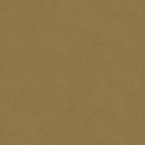 Tp-12695 E24423 TP-12695.E24423.0 by Kravet Design Fabric