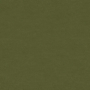 Tp-12695 E26202 TP-12695.E26202.0 by Kravet Design Fabric