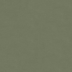 Tp-12695 E26512 TP-12695.E26512.0 by Kravet Design Fabric