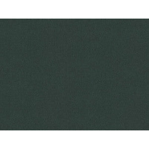 Tp-12695 E26716 TP-12695.E26716.0 by Kravet Design Fabric