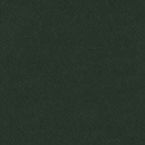 Tp-12695 E26782 TP-12695.E26782.0 by Kravet Design Fabric