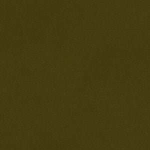 Tp-12695 E27200 TP-12695.E27200.0 by Kravet Design Fabric