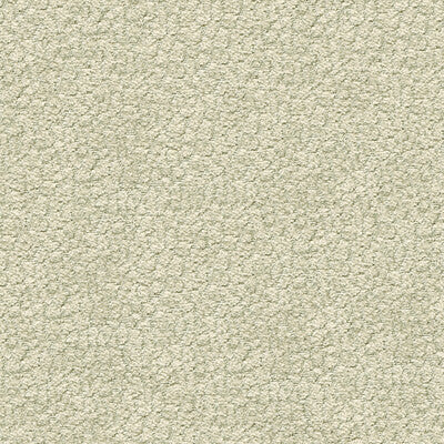 Kravet Design Upholstery TP-240996.11.0 Upholstery POLYESTER - 100% India </p><p>Repeat: H: , V: 27.5 21 - My Fabric Connection -