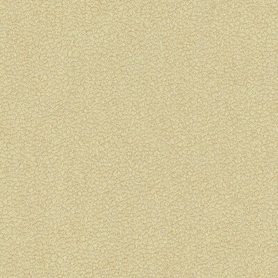 Kravet Design Upholstery TP-240996.16.0 Upholstery POLYESTER - 100% India </p><p>Repeat: H: , V: 27.5 21 - My Fabric Connection -