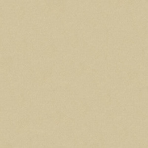 Tp-242594 1116 TP-242594.1116.0 by Kravet Design Fabric