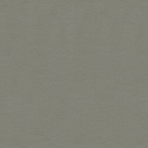 Tp-242594 1121 TP-242594.1121.0 by Kravet Design Fabric