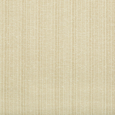 Kravet Design Upholstery TP-250798.16.0 Upholstery SOLUTION DYED ACRYLIC - 100% United States </p><p>Repeat: H: , V: 27.5 21 - My Fabric Connection -