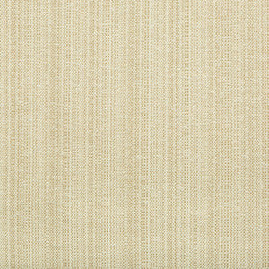 Tp-250798 16 TP-250798.16.0 by Kravet Design Fabric