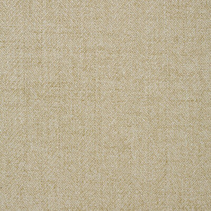 Tp-273144 113 TP-273144.113.0 by Kravet Smart Fabric