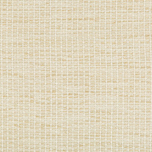 Tp-273176 116 TP-273176.116.0 by Kravet Design Fabric