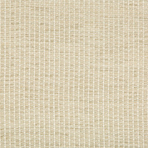 Tp-273176 1611 TP-273176.1611.0 by Kravet Design Fabric