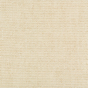 Tp-273230 116 TP-273230.116.0 by Kravet Design Fabric