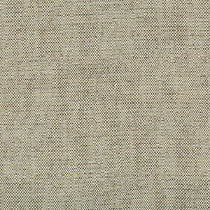 Tp-273230 1611 TP-273230.1611.0 by Kravet Design Fabric