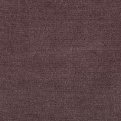 Kravet Smart Upholstery TP-281982.110.0 Upholstery POLYESTER - 100% China </p><p>Repeat: H: , V: 27.5 21 - My Fabric Connection -
