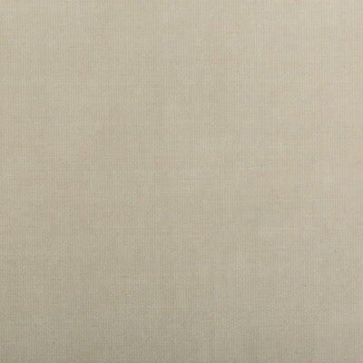 Kravet Smart Upholstery TP-281982.111.0 Upholstery POLYESTER - 100% China </p><p>Repeat: H: , V: 27.5 21 - My Fabric Connection -