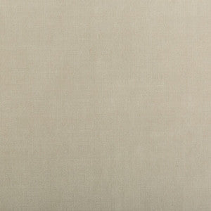 Tp-281982 111 TP-281982.111.0 by Kravet Smart Fabric