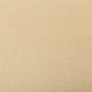 Tp-281982 116 TP-281982.116.0 by Kravet Smart Fabric