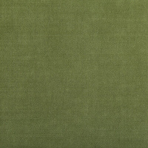 Tp-281982 333 TP-281982.333.0 by Kravet Smart Fabric