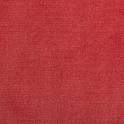 Kravet Smart Upholstery TP-281982.7.0 Upholstery POLYESTER - 100% China </p><p>Repeat: H: , V: 27.5 21 - My Fabric Connection -