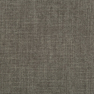 Tp-283482 21 TP-283482.21.0 by Kravet Smart Fabric
