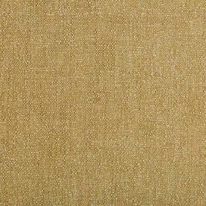 Tp-283483 4 TP-283483.4.0 by Kravet Smart Fabric