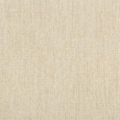 Kravet Smart Upholstery TP-283497.111.0 Upholstery POLYESTER - 100% China </p><p>Repeat: H: , V: 27.5 21 - My Fabric Connection -