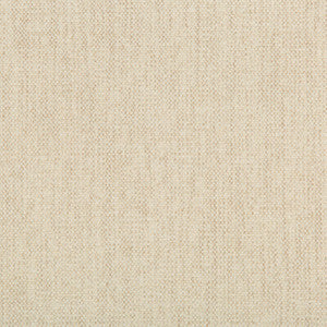 Tp-283497 111 TP-283497.111.0 by Kravet Smart Fabric
