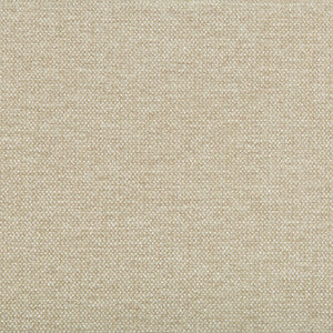 Tp-283497 116 TP-283497.116.0 by Kravet Smart Fabric