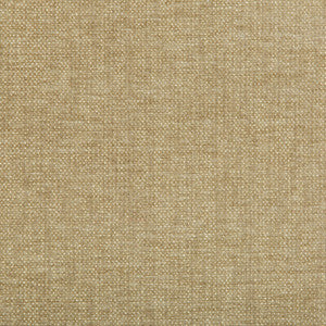 Tp-283497 16 TP-283497.16.0 by Kravet Smart Fabric