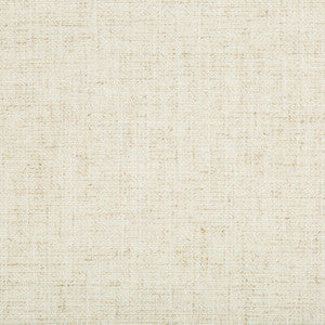 Tp-283499 1 TP-283499.1.0 by Kravet Smart Fabric