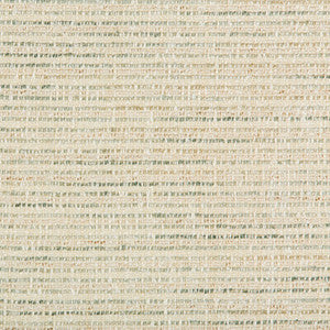 Tp-283516 13 TP-283516.13.0 by Kravet Smart Fabric