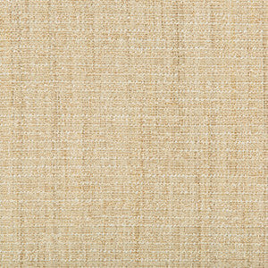 Tp-283516 14 TP-283516.14.0 by Kravet Smart Fabric