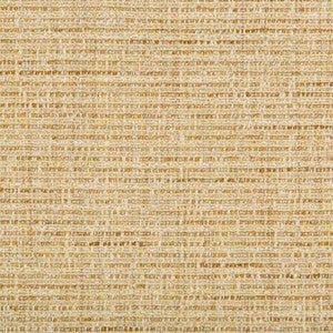 Tp-283516 4 TP-283516.4.0 by Kravet Smart Fabric